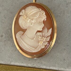 Cameo Pendant and brooch 14k gold